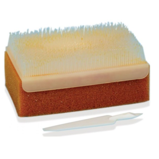 Brosse chirurgicale imprégnée de chlorhexidine à 4 % avec cure-ongles